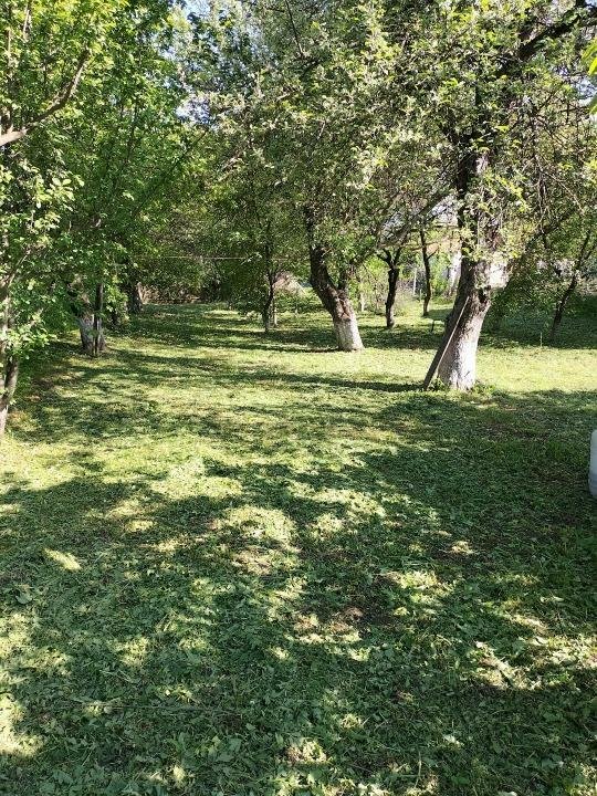 De vanzare 2 case bătrâneşti pe 2800 m2