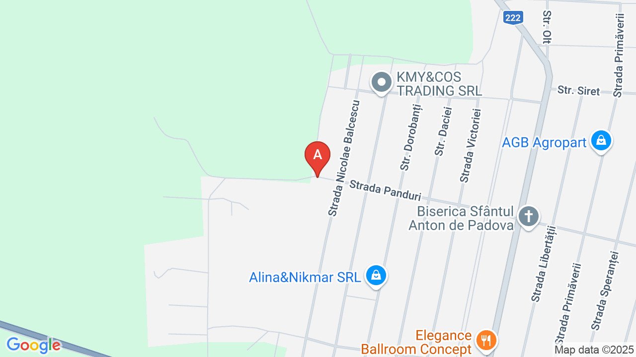 Vila de vanzare in Mihail Kogalniceanu