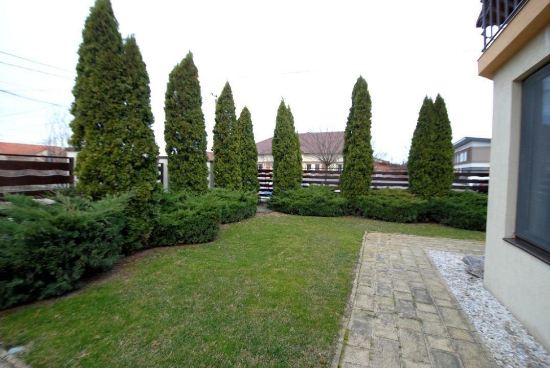 Duplex zona Braytim