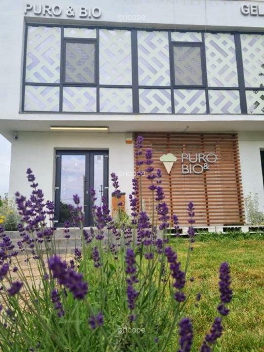 VANZARE CASA+TEREN 5 000 m2 CREVEDIA, soseaua nationala