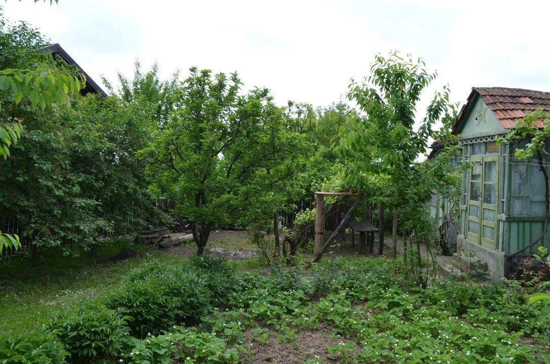 Teren intravilan cu utilităţi, livadă şi casă bătrânească â€“ Pietrărie, Bârnova