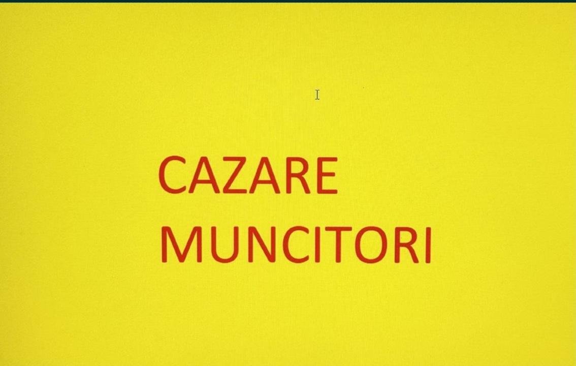 Cazare muncitori Timisoara