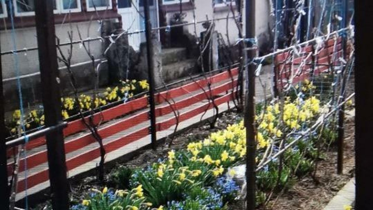 Casa batraneasca cu teren 2600 mp