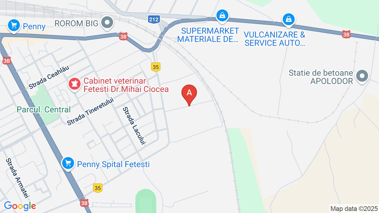 Vand casa cu teren 1900 mp in Fetesti
