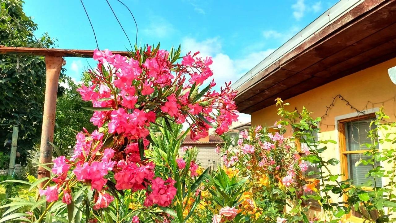 Casă individuală de vânzare â Zona Şagului, Timişoara