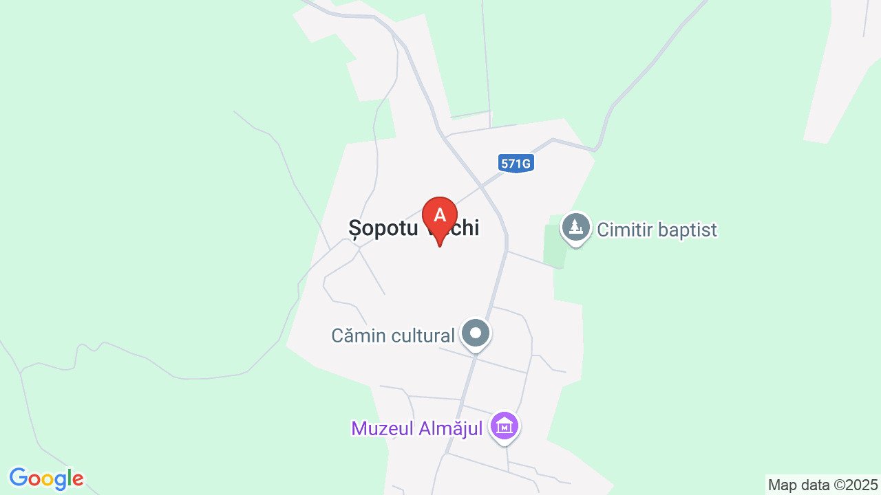 Vand casa in sat Sopotu Vechi, com. Dalboset, jud. Caras-Severin