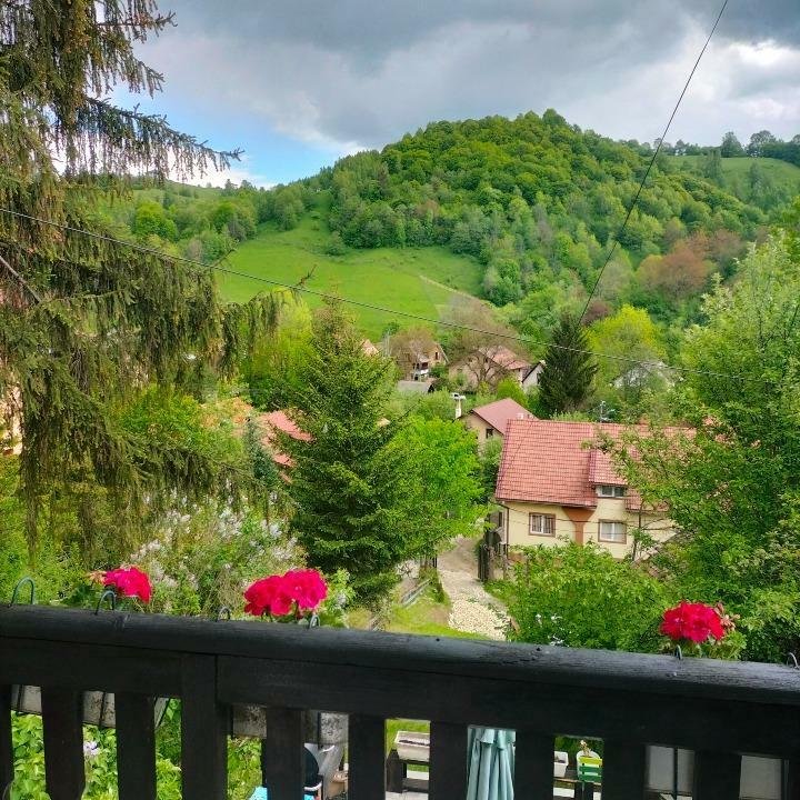 Pensiune activă/casă de vacanţă sau de locuit 