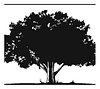 Black Oak Developer&Contractor SRL Black Oak Developer&Contractor SRL