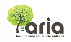 GREEN IMOB INVESTITII GREEN IMOB INVESTITII